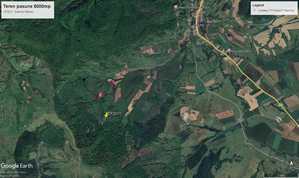 Terenul de 0.80 Ha (Pășune Semipădurită)
