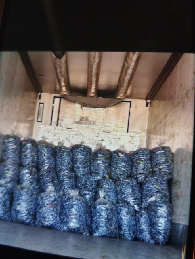 comandă. Dacă sunteți în căutarea unor prune bine coapte pentru țuică, vă invit să ne contactaț