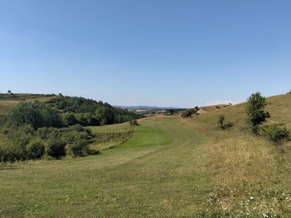 Teren extravilan 1.5 Ha in Saschiz - zona pretabila amenajare LAC 0.40 Ha