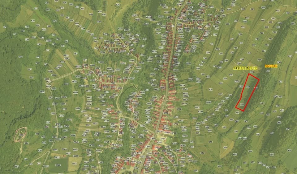 Teren extravilan 1.25 Ha in Saschiz - utilitati aproape, ideal constructie/turism